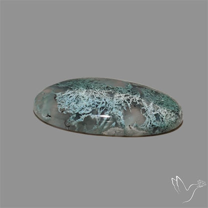Horse Canyon Moss Agate Cabochon