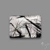 Black Tourmalinated Quartz Cabochon