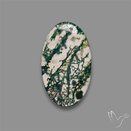 Moss Agate Cabochon