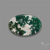 Moss Agate Cabochon