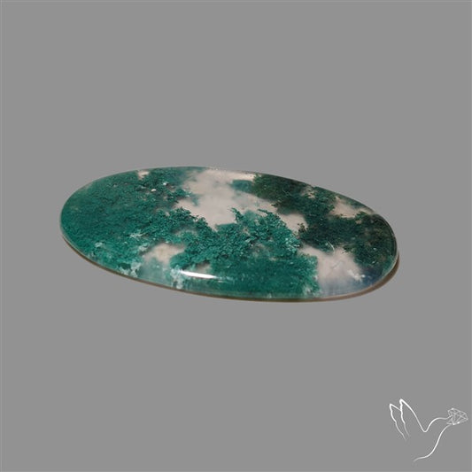 Moss Agate Cabochon
