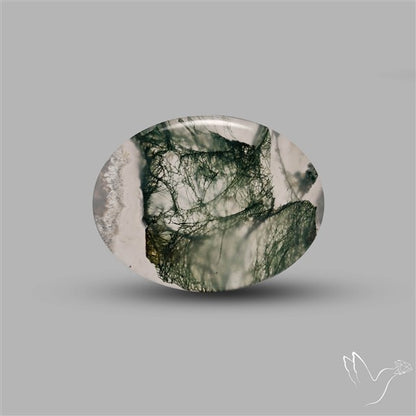 Moss Agate Cabochon