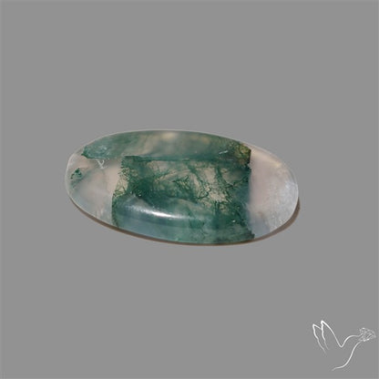 Moss Agate Cabochon