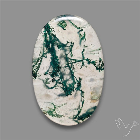 Moss Agate Cabochon