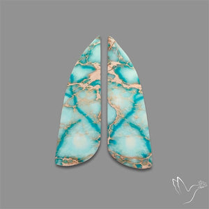 Sea Sediment Jasper Cabochons Pair