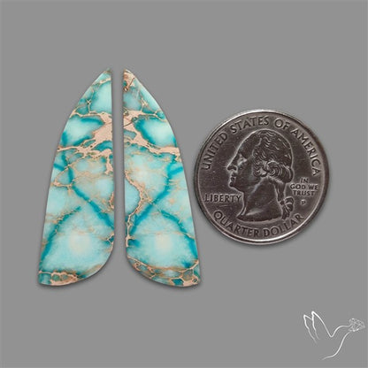 Sea Sediment Jasper Cabochons Pair