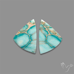 Sea Sediment Jasper Cabochons Pair