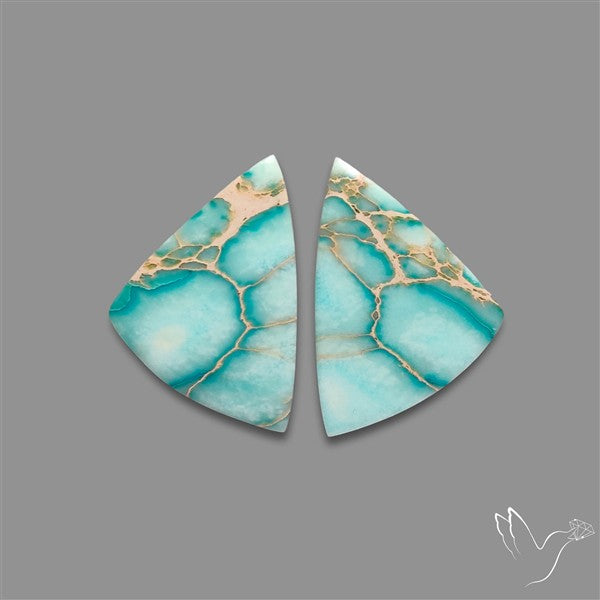 Sea Sediment Jasper Cabochons Pair