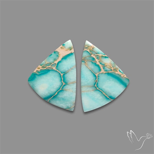 Sea Sediment Jasper Cabochons Pair