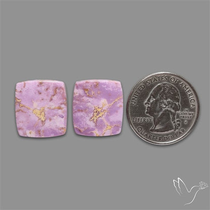 Phosphosiderite Cabochons Pair
