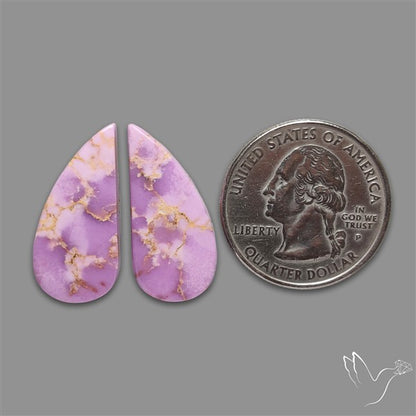 Phosphosiderite Cabochons Pair
