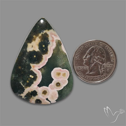 Orbicular Ocean Jasper Cabochon
