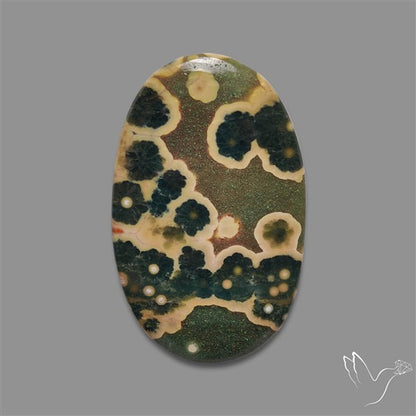 Orbicular Ocean Jasper Cabochon