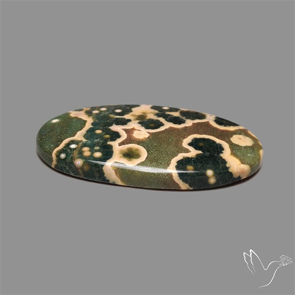 Orbicular Ocean Jasper Cabochon