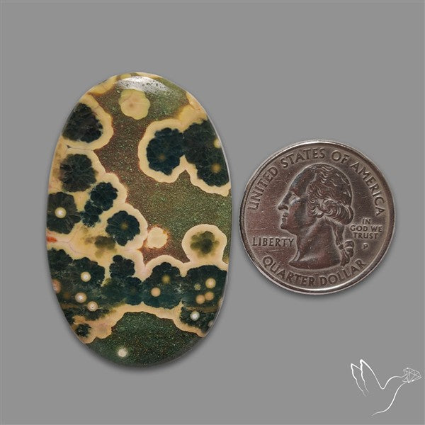 Orbicular Ocean Jasper Cabochon