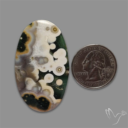 Orbicular Ocean Jasper Cabochon