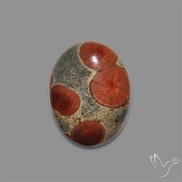 Peanut Obsidian Cabochon
