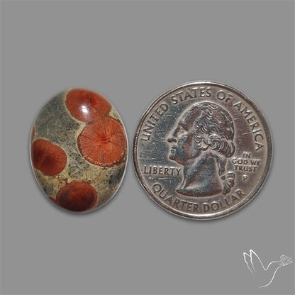 Peanut Obsidian Cabochon