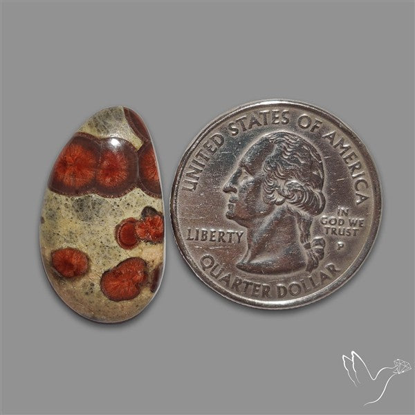 Peanut Obsidian Cabochon