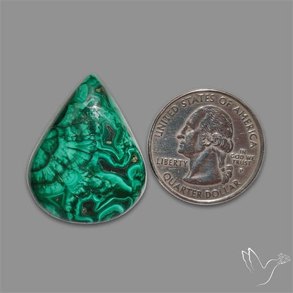 Congo Malachite Cabochon
