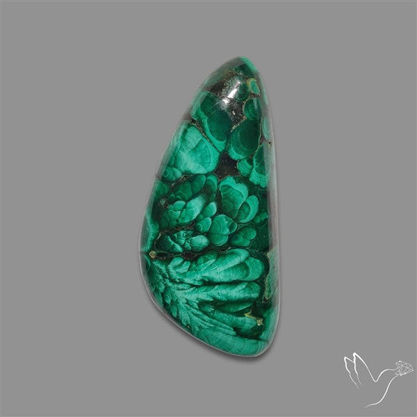 Congo Malachite Cabochon