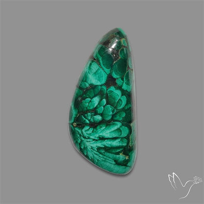 Congo Malachite Cabochon