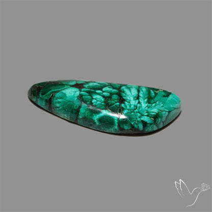 Congo Malachite Cabochon