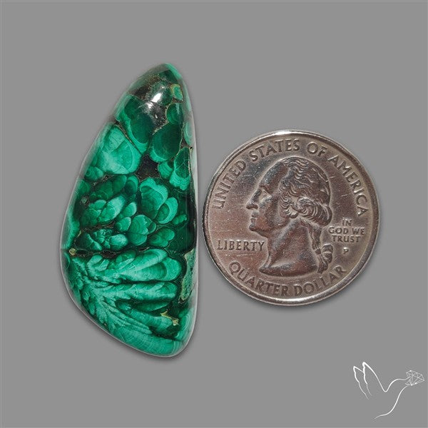Congo Malachite Cabochon