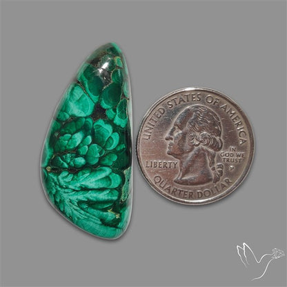 Congo Malachite Cabochon