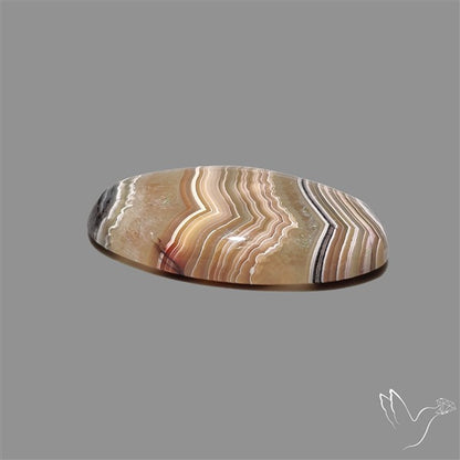 Crazylace Agate Cabochon