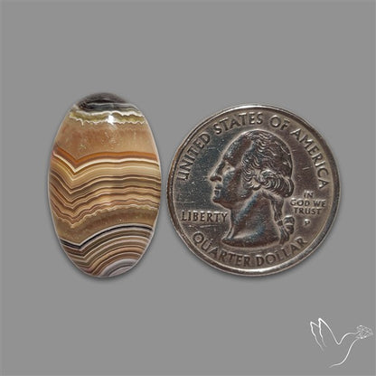 Crazylace Agate Cabochon