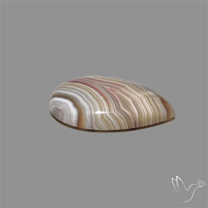Crazylace Agate Cabochon
