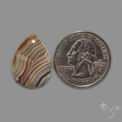 Crazylace Agate Cabochon