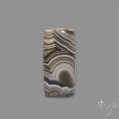 Crazylace Agate Cabochon