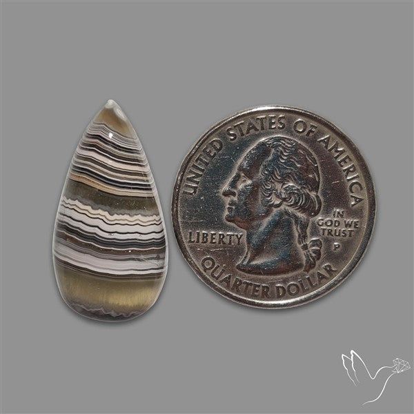 Crazylace Agate Cabochon