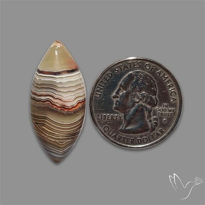 Crazylace Agate Cabochon