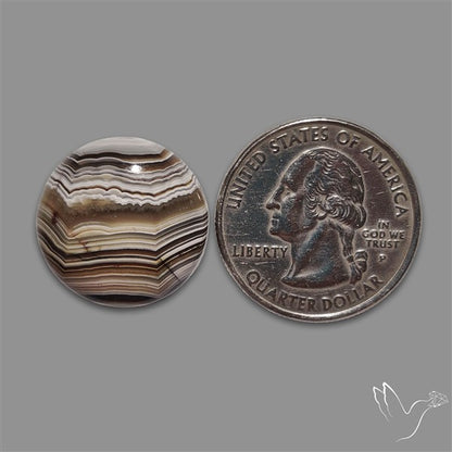 Crazylace Agate Cabochon