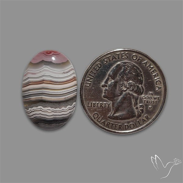 Crazylace Agate Cabochon