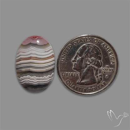 Crazylace Agate Cabochon