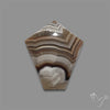 Crazylace Agate Cabochon