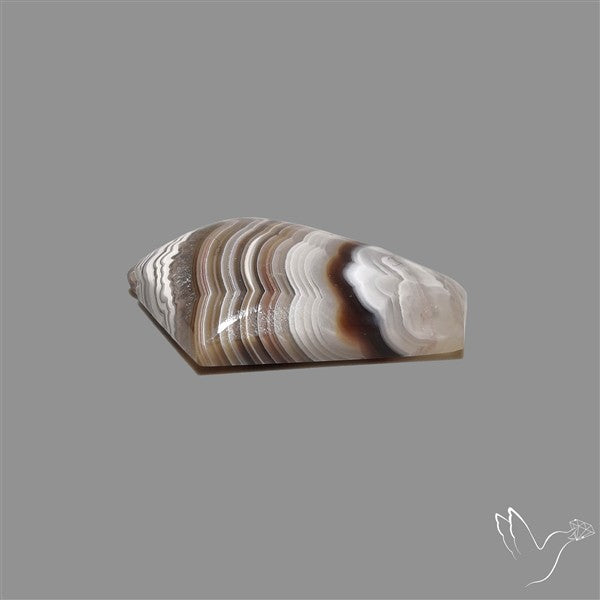 Crazylace Agate Cabochon