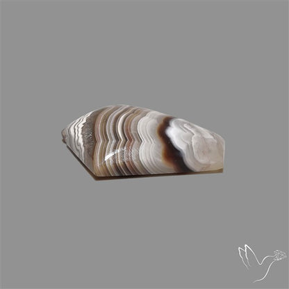 Crazylace Agate Cabochon