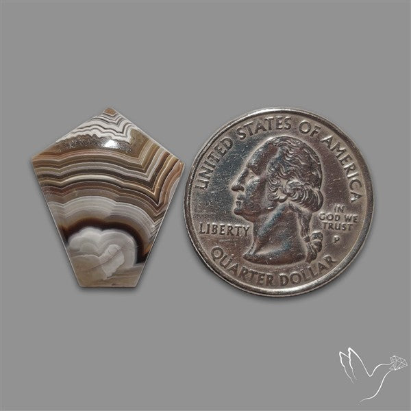 Crazylace Agate Cabochon