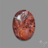Rare Red Petrified Wood Cabochon