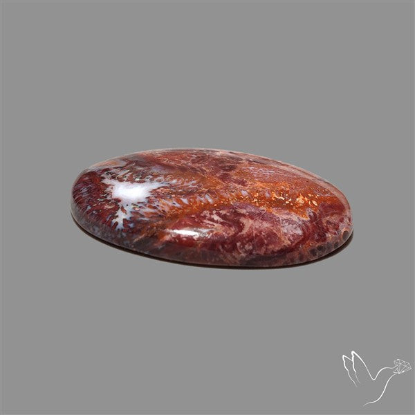 Rare Red Petrified Wood Cabochon