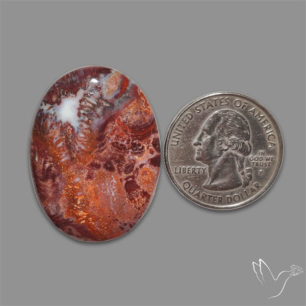 Rare Red Petrified Wood Cabochon