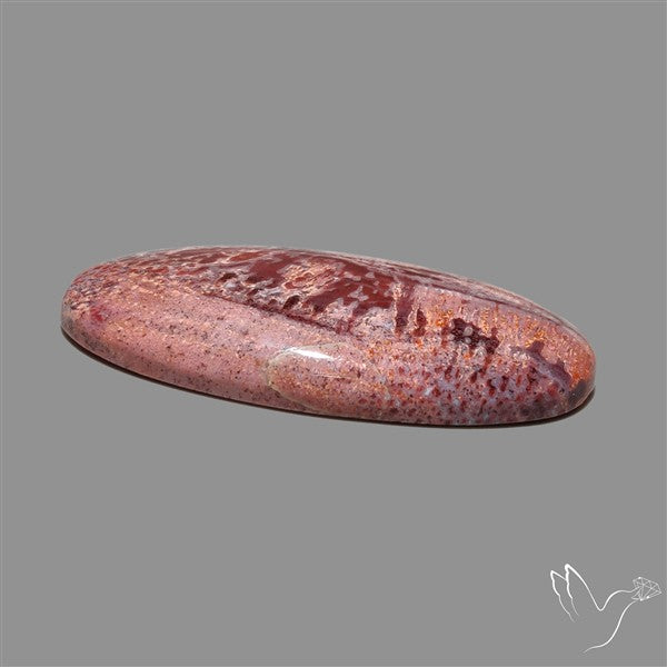 Rare Red Petrified Wood Cabochon