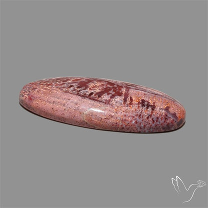 Rare Red Petrified Wood Cabochon