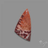Rare Red Petrified Wood Cabochon