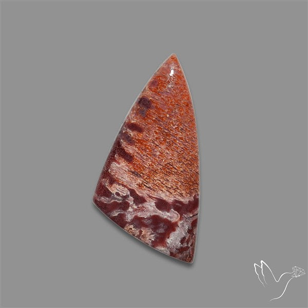Rare Red Petrified Wood Cabochon